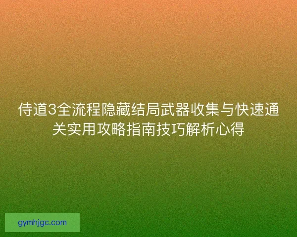 侍道3全流程隐藏结局武器收集与快速通关实用攻略指南技巧解析心得
