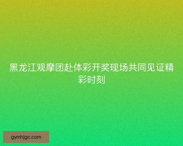 黑龙江观摩团赴体彩开奖现场共同见证精彩时刻
