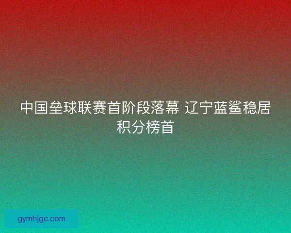 中国垒球联赛首阶段落幕 辽宁蓝鲨稳居积分榜首 中国垒球联赛首阶段落幕 辽宁蓝鲨稳居积分榜首